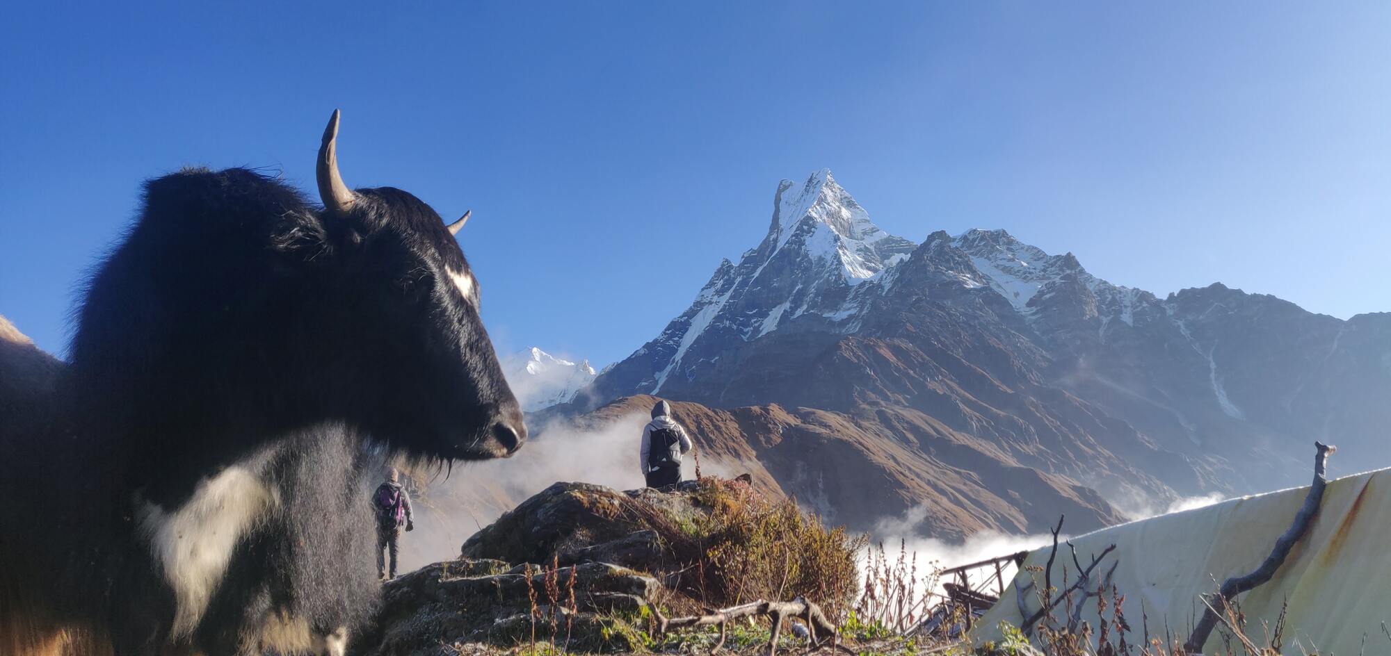 Mardi Himal Base Camp with view of Machhapuchhre, Nepal - By Mountain People