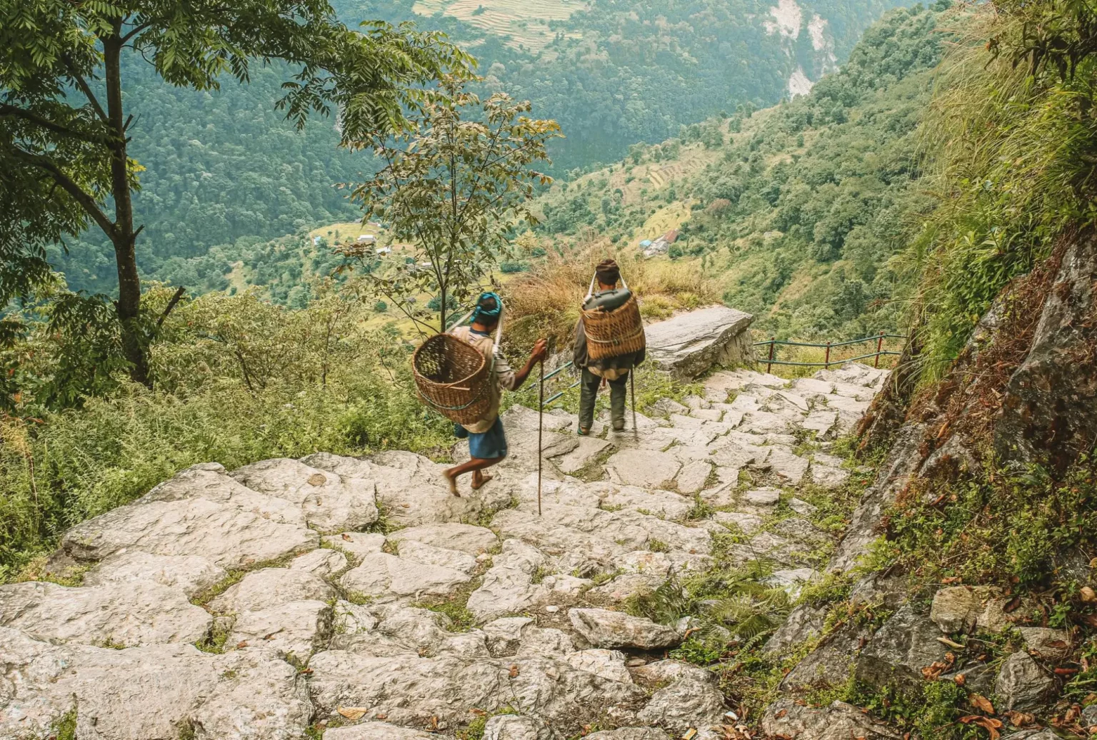 Ulleri Annapurna Pokhara Trekking - By Mountain People