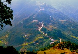 Lower temperate vegetation zone in Nepal