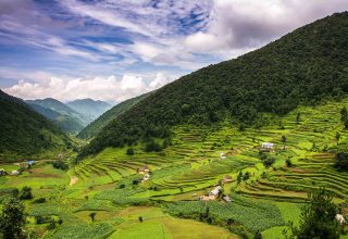 Subtropical vegetation zone in Nepal