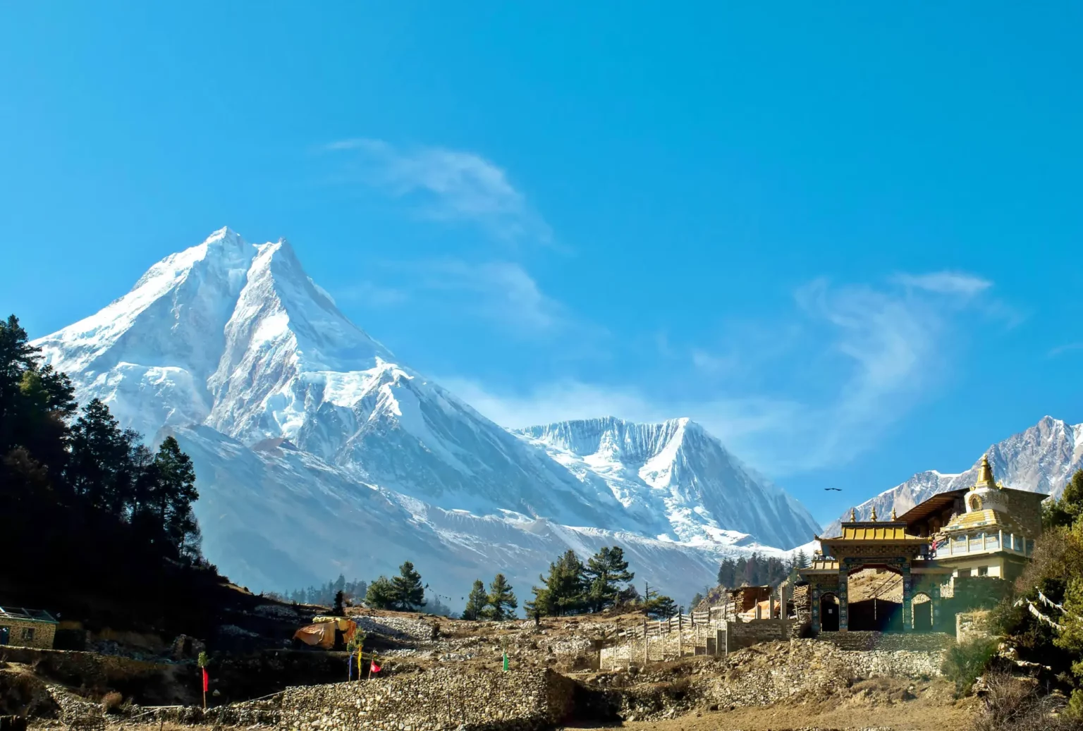 Manaslu seen from Lho