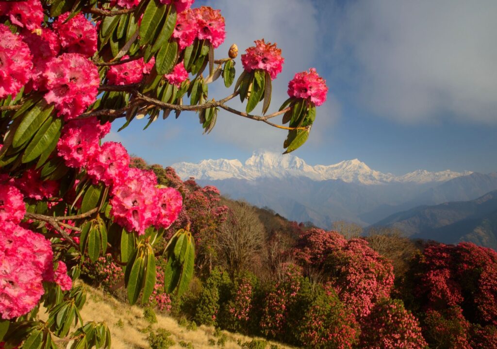 About Nepal nature–By Mountain People