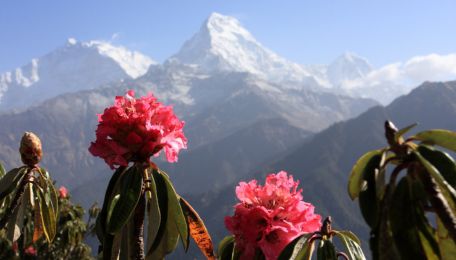 Annapurna treks in Nepal – By Mountain People