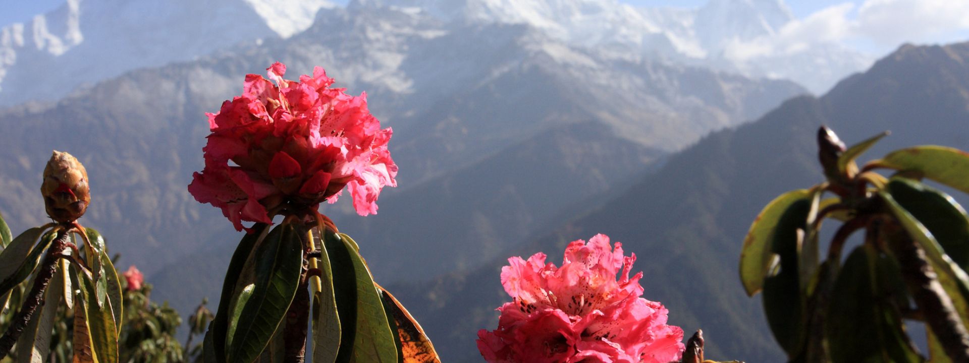 Annapurna treks in Nepal – By Mountain People