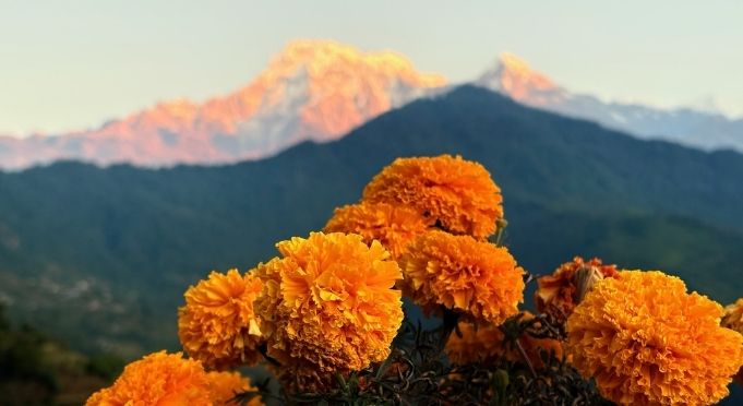 Custom trekking Nepal – Individual trip themes – By Mountain People