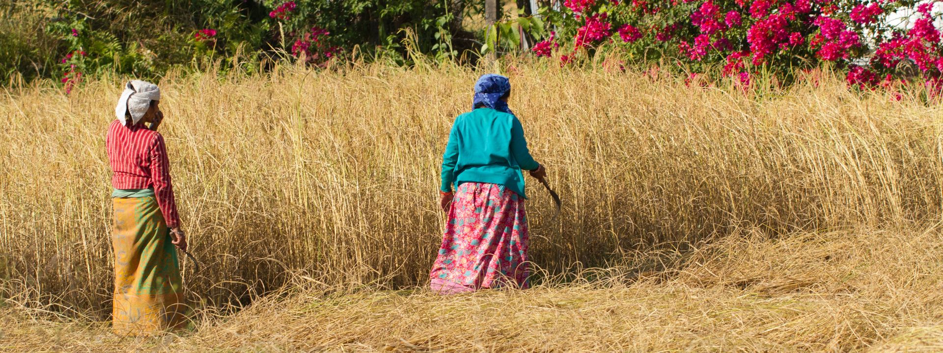 Privacy policy Nepal trekking–By Mountain People