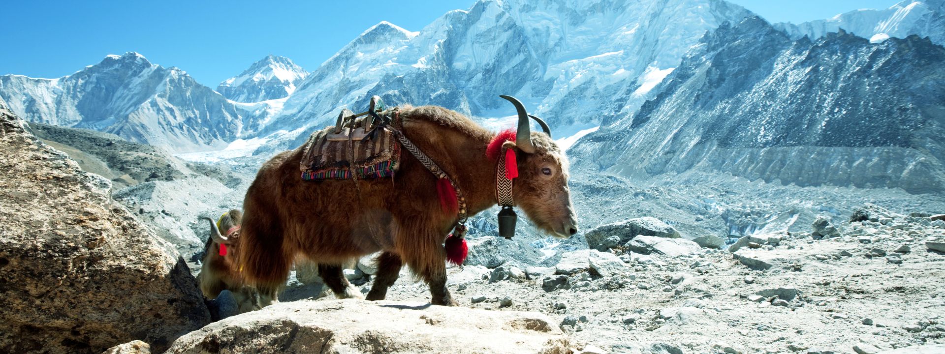 Search results nepal trekking trips–By Mountain People