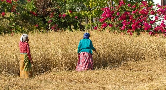 Trekking destinations in Nepal–off the beaten track–By Mountain People